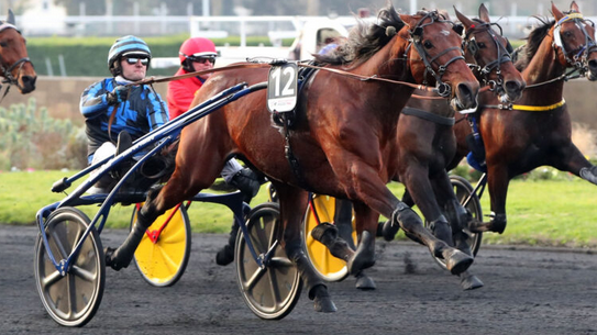 PMU : De belles performances pour le meeting d'hiver de Vincennes